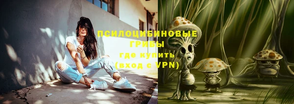 кокс Осташков