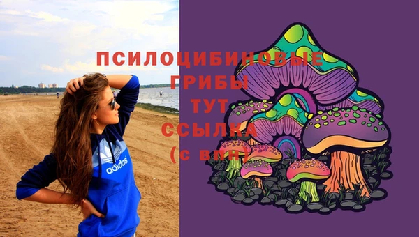 бошки Абдулино